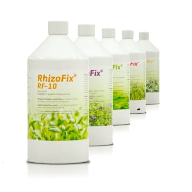RhizoFix® - RF-40 Lupine / Wicke