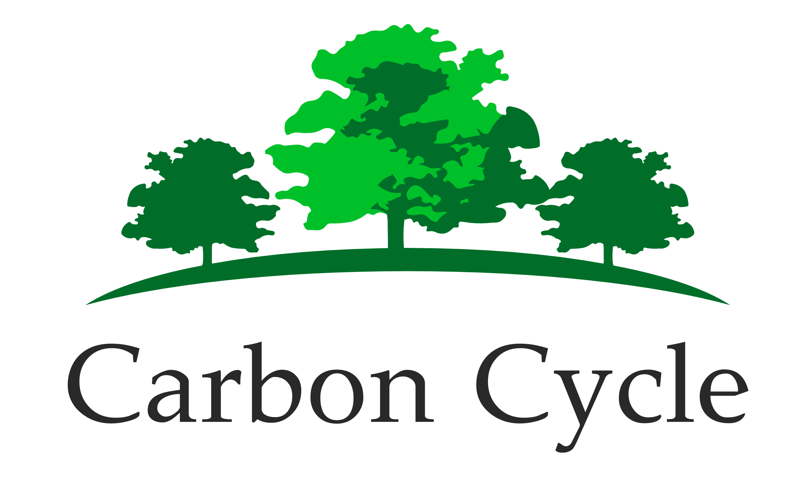 CARBON CYCLE GmbH & Co. KG